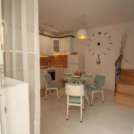 Duplex Daire Novi Sad